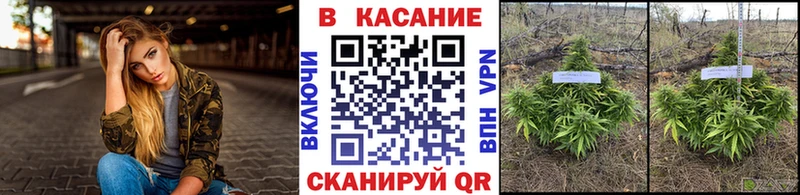 Все наркотики Печора КОКАИН  MEGA ONION  Гашиш  Каннабис  Мефедрон 