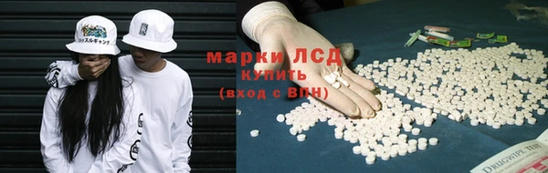 apvp Верея