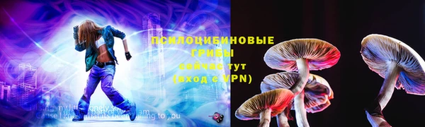 apvp Верея