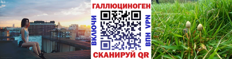 Галлюциногенные грибы прущие грибы  Печора 
